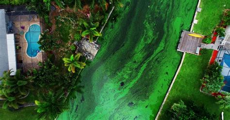 Floridas Toxic Algae Crisis See Aerial Footage Of Southwest Florida Water