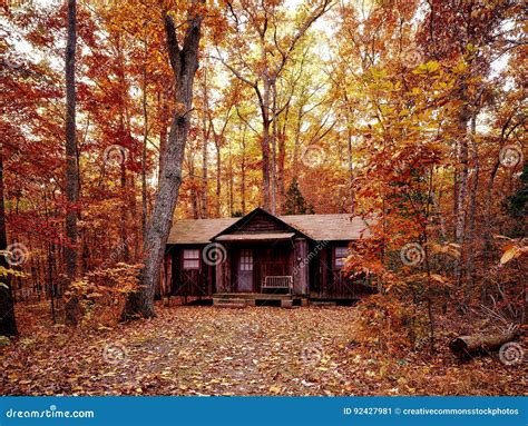 Cabin In Autumn Forest Picture. Image: 92427981