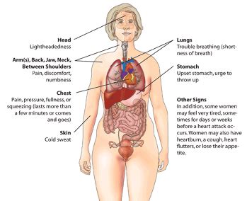 Back Pain During a Heart Attack | Study.com