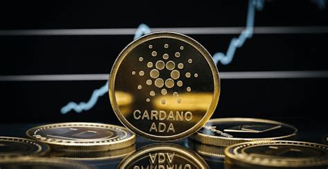 Acheter Cardano guide complet pour les débutants