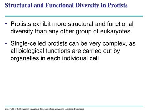 Chapter 28 Protists Ppt Download