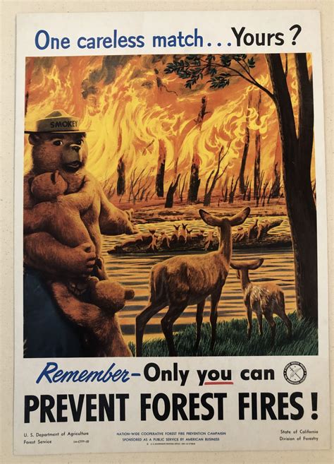 One Careless Match Yours Remember Only You Can Prevent Forest Fires