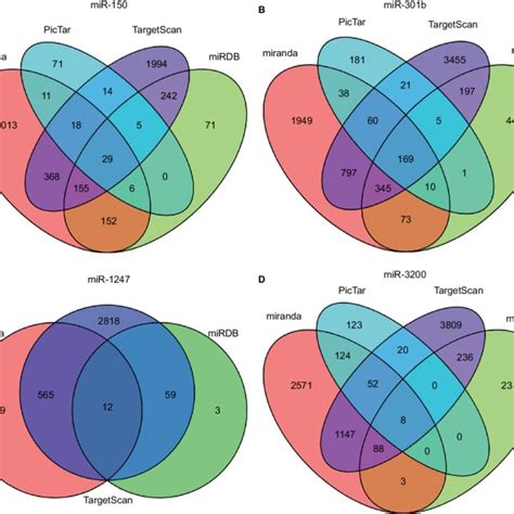 The Target Gene Prediction And Function Analysis Notes The