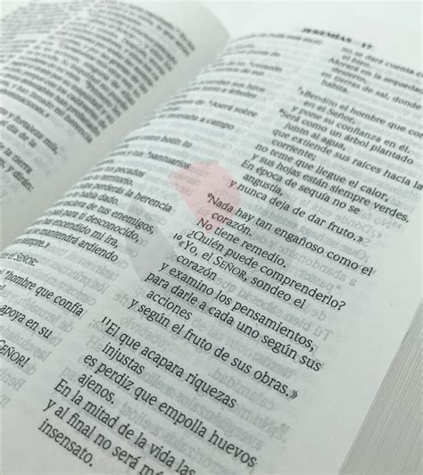 Santa Biblia NVI Letra Grande Tapa Dura Negro Biblica Libreria Peniel