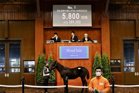 ノーザンファームミックスセール2022が開幕！ドウデュースの半弟など良血馬がラインナップ 競馬ニュースなら競馬のおはなし