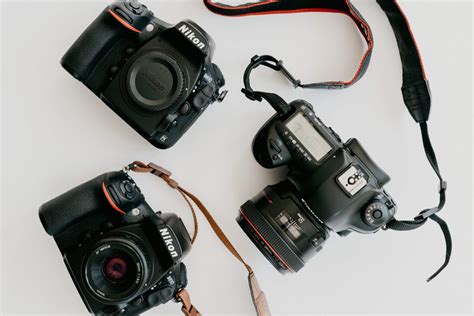 The Best Dslr Cameras For Beginners