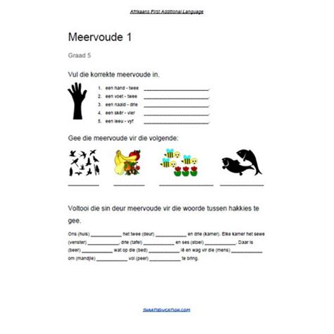 Afrikaans Meervoude Plurals Worksheet Level 501 Shaati Education