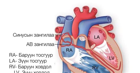 Эрүүл амьдарья! : Зүрхний хэм алдагдал