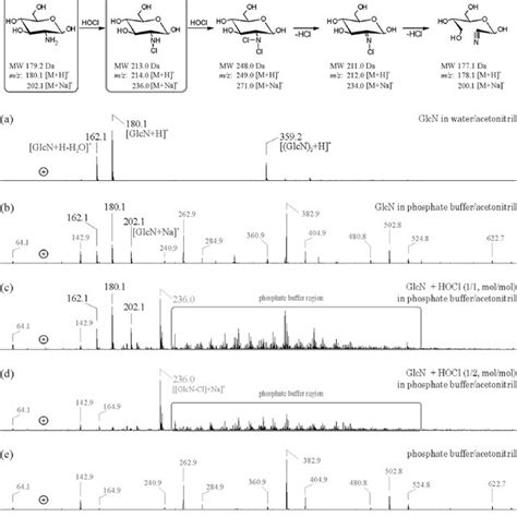 Positive Ion Electrospray Ionization Ion Trap Esi It Mass Spectra Of Download Scientific