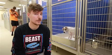 The Heartwarming Time When YouTube Millionaire MrBeast Adopted an ...