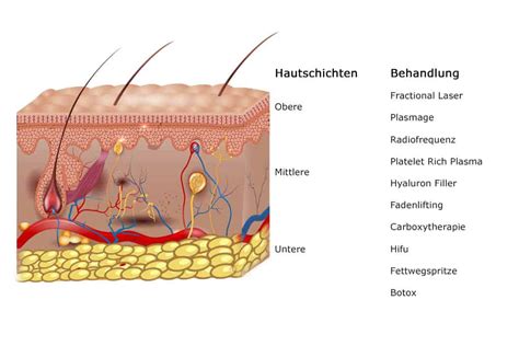 Faltenbehandlung Und Behandlungen Bei Hautalterung Dcc In Zürich