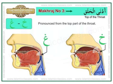 Articulation points-of-the-letters- makhraj | PPT