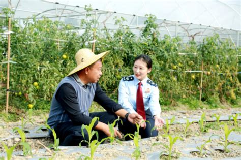 农忙春耕好时节，“鹤税春风”送暖振兴路鹤山市人民政府门户网