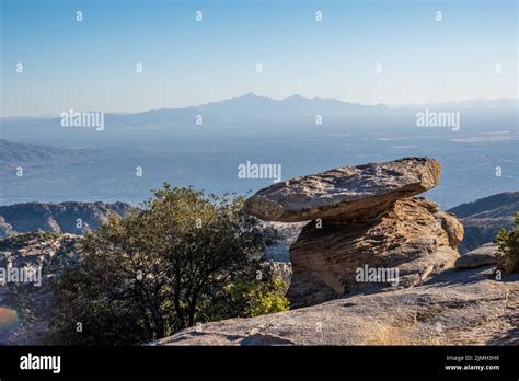 Tucson Nature Hi Res Stock Photography And Images Alamy