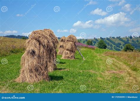 Hay Harvest In The Tatra Mountain Stock Image Image Of Blue Tatra