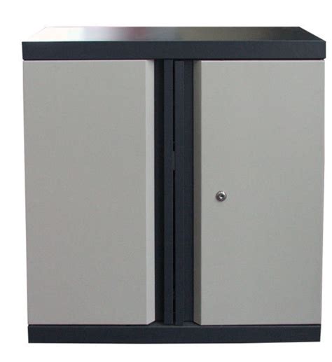 Lockable Wall Cabinet Cabinets Matttroy