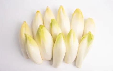 Chicory Vs Endive Which Is A Better Option