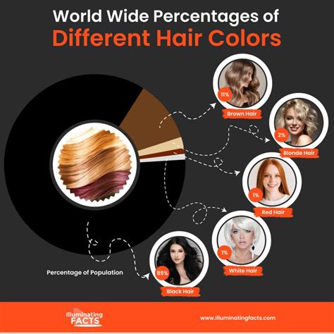 Ranked Different Hair Colors Illuminating Facts