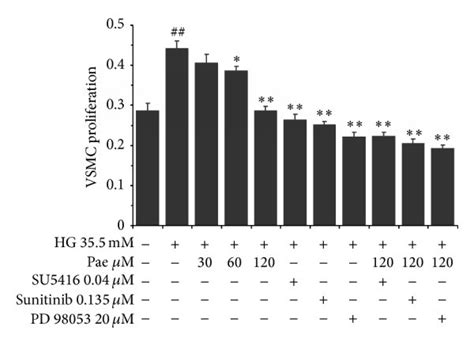 Effect Of Paeonol On Vsmc Proliferation In The Coculture Model Vecs