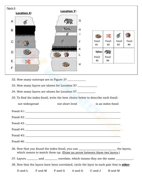 Free Printable Fossils Worksheets for Teaching & Learning