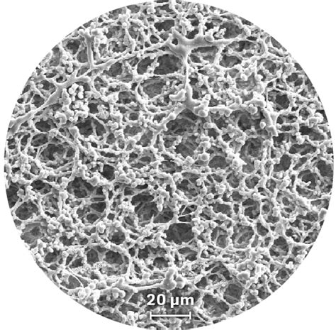 Unbacked Nitrocellulose Membranes Cytiva