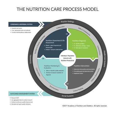 What Is The Nutrition Care Process And Model