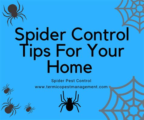 Get Hints And Tips On Spider Prevention For Your Home Here Spider Prevention Spider Control