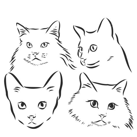 Bocetos Mínimos De Retratos De Lindos Gatos En Blanco Y Negro Vector