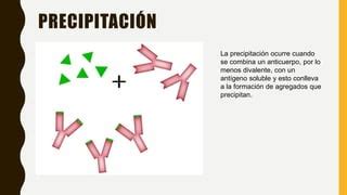 Interacciones antígeno anticuerpo PPT