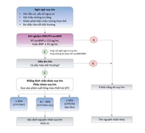 CẬP NHẬT MỚI TRONG PHÁC ĐỒ HƯỚNG DẪN CHẨN ĐOÁN VÀ ĐIỀU TRỊ SUY TIM CẤP