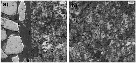 Sem Micrographs For Sample C45 Steel Substrate Nicrbsi Wc Coating