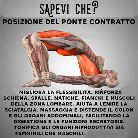 SAPEVI CHE Esercizi Di Yoga Yoga Yoga Per Principianti