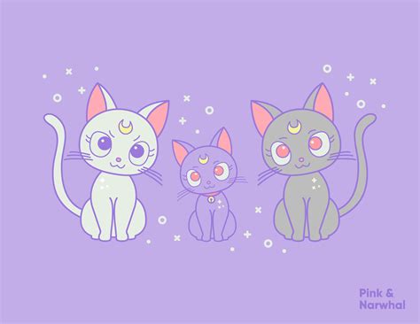 Pink Narwhal Sailor Moon Cat Sailor Moon Sailor Moon Art