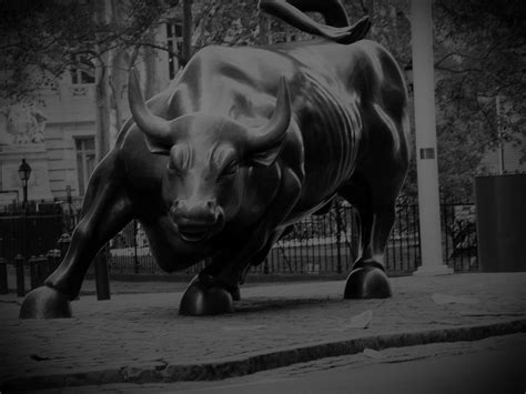 Bull Wallpapers - Top Free Bull Backgrounds - WallpaperAccess