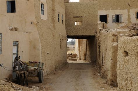 Siwa Oasis - Ruins of Shali (4) | Siwa Oasis and the Libyan Desert ...