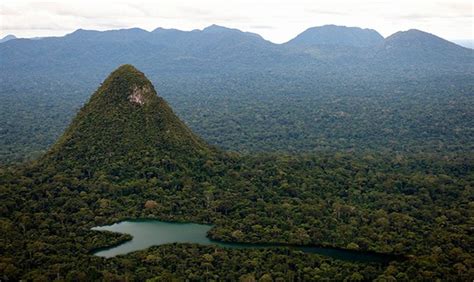 Sierra Del Divisor Cinco Razones Por Las Que La Creaci N Del Parque