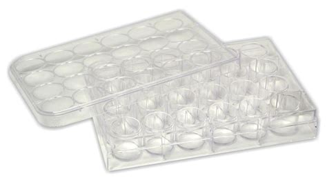 Clear Culture Plate | For Microchemistry Experiments