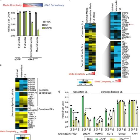 An Isogenic Cell Line Screen Validates Kras Synthetic Lethal Network