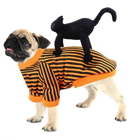 Black Pugs In Funny Costumes