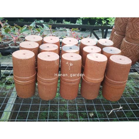 Jual Pot Terracotta Pot Terakota Kecil Pot Bunga Tanaman Hias