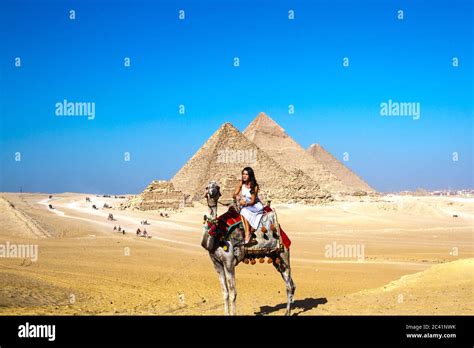 Camel Ride In The Desert At The Great Pyramid Of Giza Unesco World Heritage Site Cairo Egypt