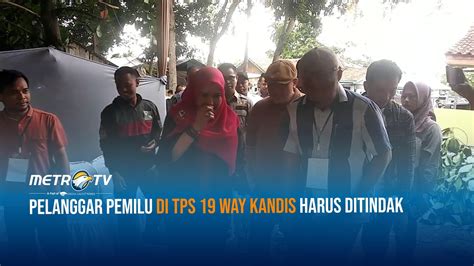 Pelanggar Pemilu Di TPS 19 Way Kandis Harus Ditindak YouTube