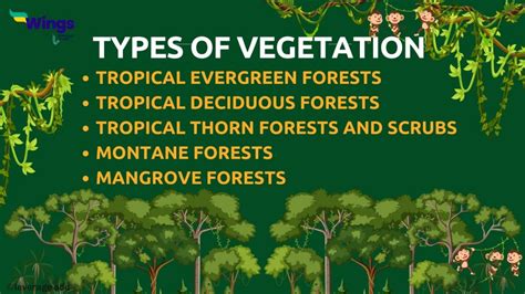 Natural Vegetation Of Africa