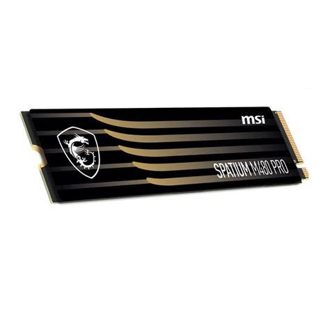 MSI SPATIUM M480 PRO 2TB GEN4 Blossom Toko Komputer Malang