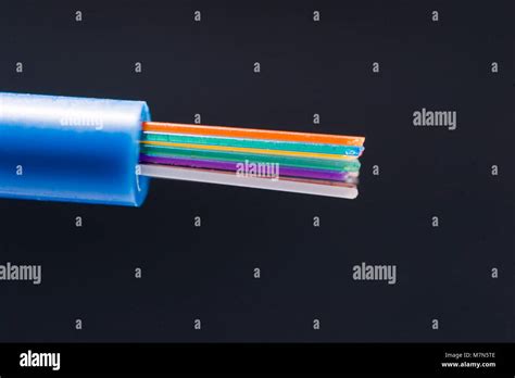 250 Micron Fibers Hi Res Stock Photography And Images Alamy