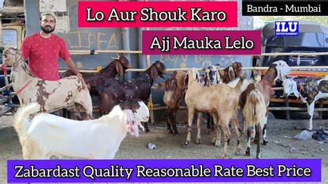 Zabardast Quality Reasonable Rate Best Price Lo Aur Shouk Karo Sakib