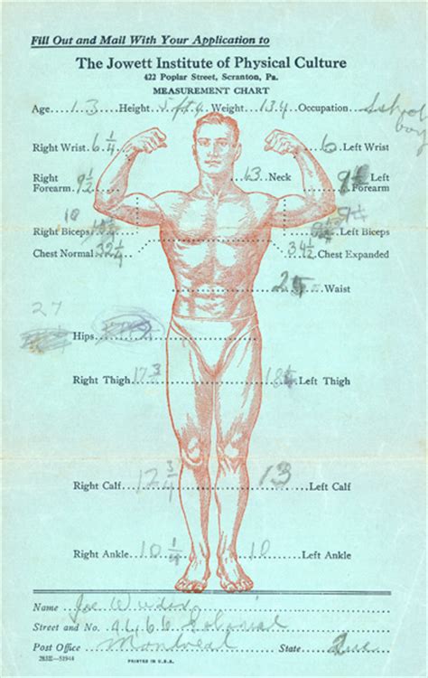 Joe Weider Workout Charts - Infoupdate Wallpaper Images