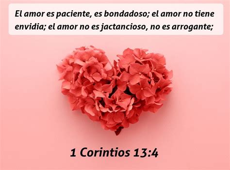 146 versículo de la Biblia sobre Amor