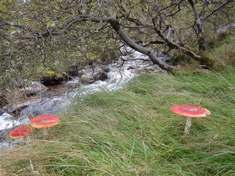 Managing intermittent rivers and ephemeral streams - Eurosite
