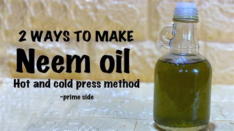 How To Make Neem Oil Ways To Make Neem Oil Hot And Cold Press